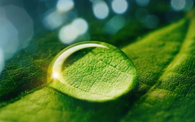 shutterstock_1883380231-1-2048x1152