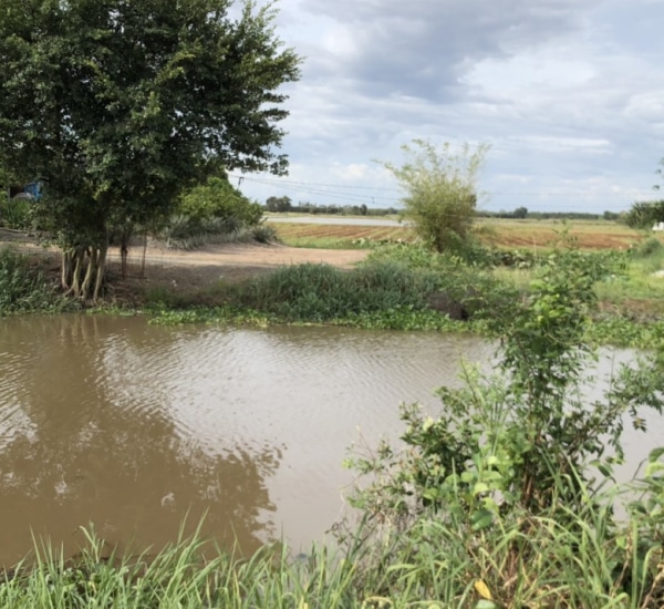 Đóng góp xây cầu Thịnh Phát 3 – Mộc Hoá Long An