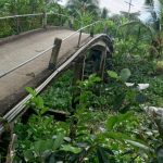 CA102 CẦU NGANG RẠCH BỜ DỨA – ẤP TÂN HÒA – XÃ TÂN NHUẬN ĐÔNG – HUYỆN CHÂU THÀNH – TỈNH ĐỒNG THÁP