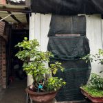 NA39 ƯƠM MẦM MÁI NHÀ YÊU THƯƠNG GIA ĐÌNH ANH LÊ VŨ PHƯƠNG – xÃ DIÊN TOÀN, DIÊN KHÁNH, KHÁNH HÒA