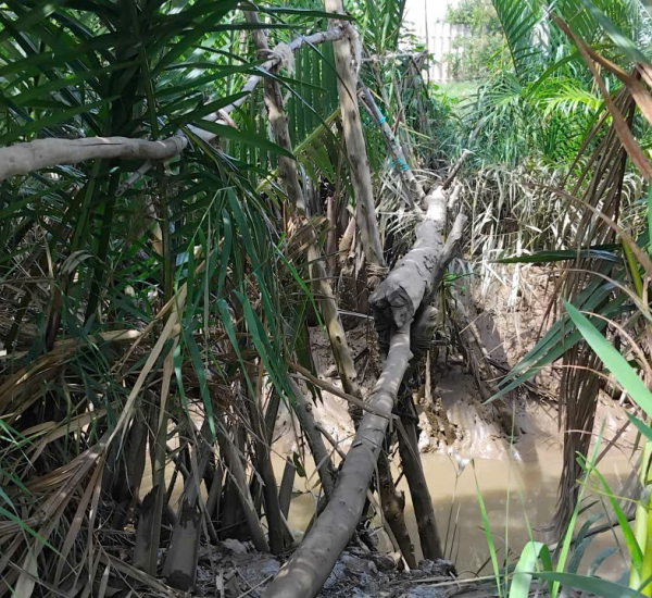 CA108 XÂY CẦU ẤP TÂN HIỆP – XÃ THẠNH PHONG – TỈNH VĨNH LONG