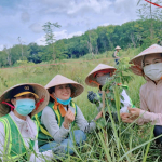 YNA58 ĐIỀU TỬ TẾ OFFLINE THÁNG 11 – TRỒNG CÂY TRỒNG NGƯỜI