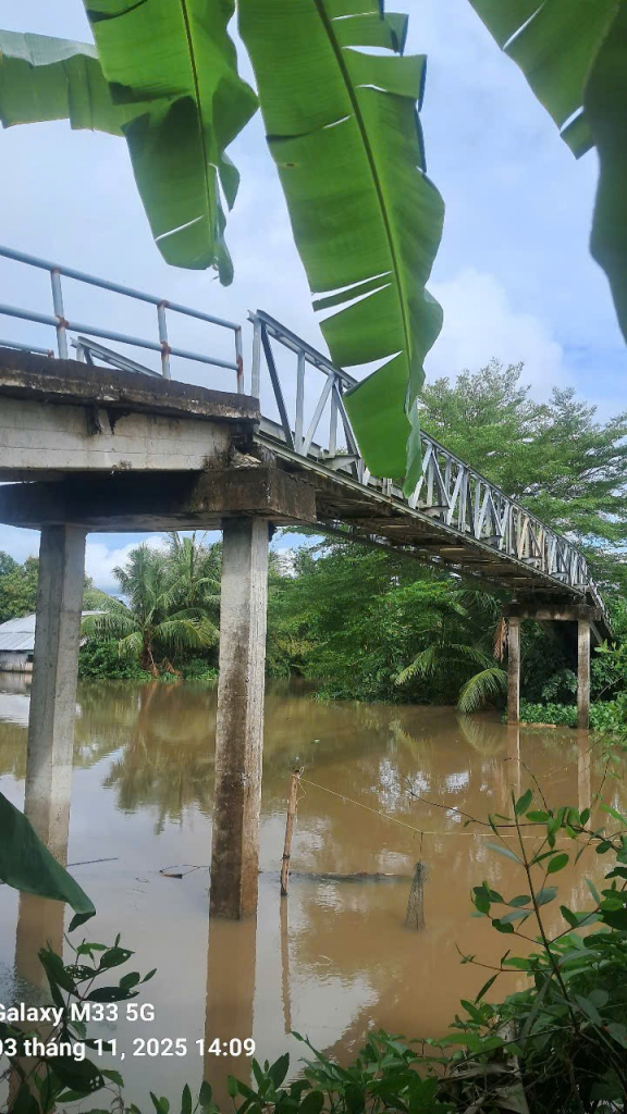 CA108 CẦU SỨ MỆNH KIM CƯƠNG 12 ( CẦU KÊNH KH9) – ẤP HÒA TÂN . XÃ HÒA HƯNG, TỈNH AN GIANG