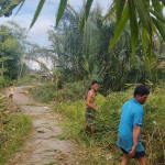 DA02 XÂY ĐƯỜNG THỊNH VƯỢNG KẾT NỐI YÊU THƯƠNG (ĐỢT 3) – AN PHONG, ĐÔNG THẠNH, HÓA THÀNH, VĨNH LONG