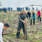 YNA74 DỰ ÁN TRỒNG CÂY XANH THÁNG 4/2026