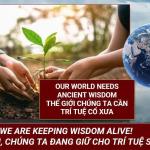 TTA08 DỰ ÁN BẢO TỒN SÁCH CỔ CÙNG THƯ VIỆN DI SẢN CHÂU Á ALL (LẦN 6)